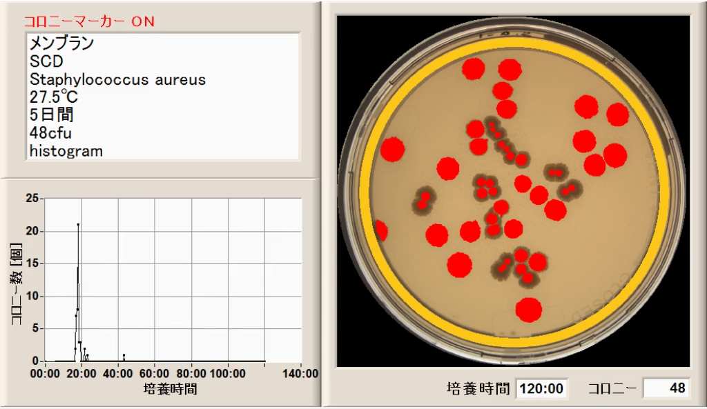 微生物限度試験/Staphylococcus
